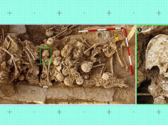 Странный конический череп из древнего захоронения озадачил ученых