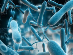 В Новосибирске разработали тесты для оперативного выявления коклюша