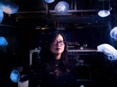 Кибер-медузы помогут исследовать глубины Мирового океана