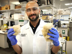 Зубная паста из волос восстанавливает поврежденную эмаль