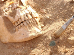 Армию Наполеона в России погубил не мороз