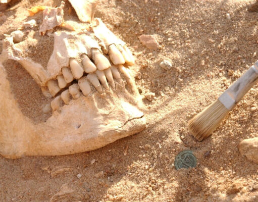 Армию Наполеона в России погубил не мороз