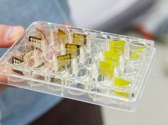 В УрФУ выяснили, как сделать датчики излучений долговечными