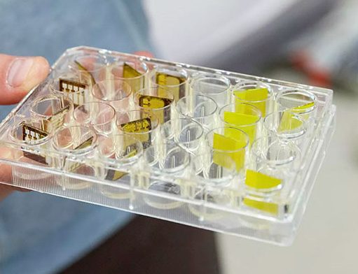 В УрФУ выяснили, как сделать датчики излучений долговечными