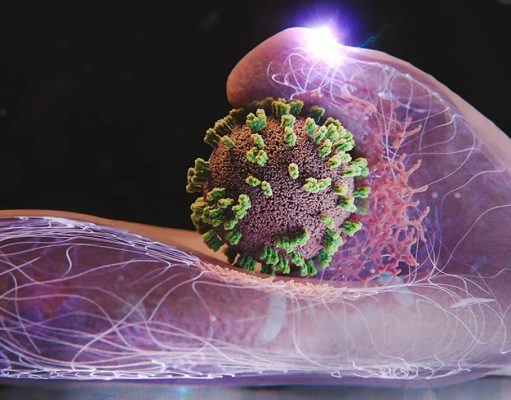 Новый микроскоп позволил ученым впервые увидеть, как вирус проникает в живую клетку