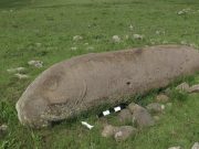 Ученые раскрыли один из секретов 6000-летних «драконьих камней» Армении