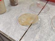 В Новосибирске придумали, как делать электроизоляцию из травы