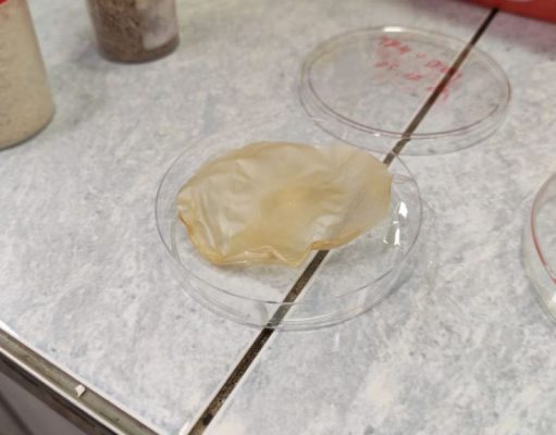 В Новосибирске придумали, как делать электроизоляцию из травы