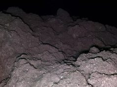 На астероиде Рюгу обнаружены все пять ключевых элементов для зарождения жизни