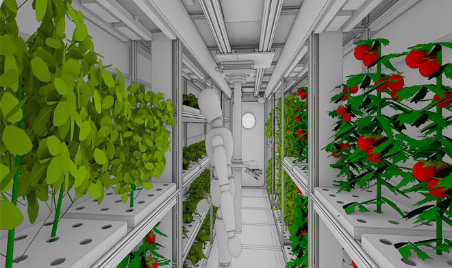 В России работают над овощным климатроном для марсианских миссий